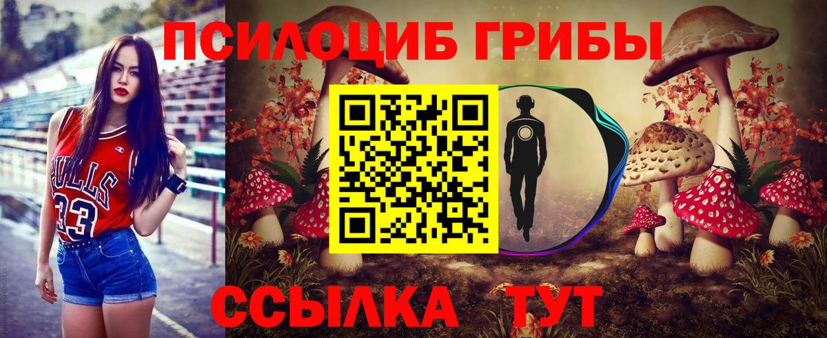 Рассказово  Галлюциногенные грибы MAGIC MUSHROOMS  Вход с VPN 