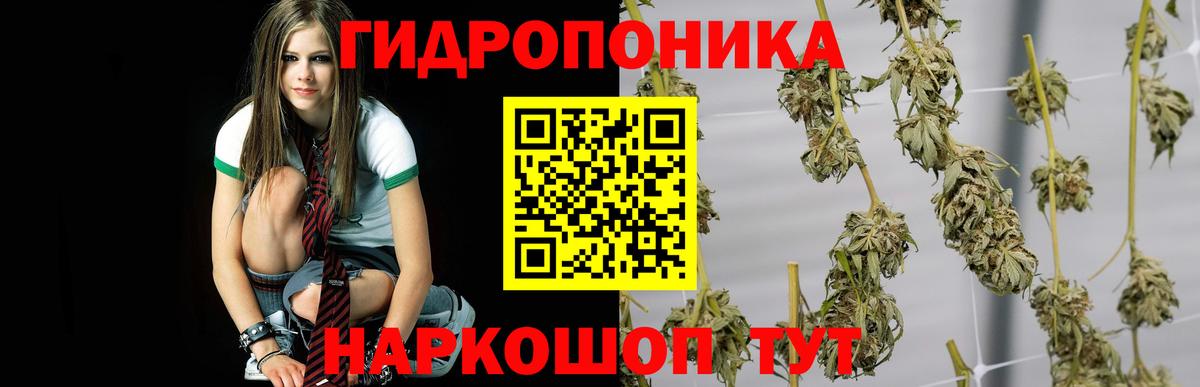 Канабис White Widow Рассказово
