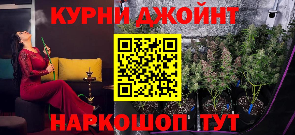 Бошки Шишки AK-47  Вход с VPN  Бошки Шишки White Widow  Каннабис VHQ  Бошки Шишки VHQ  Рассказово 